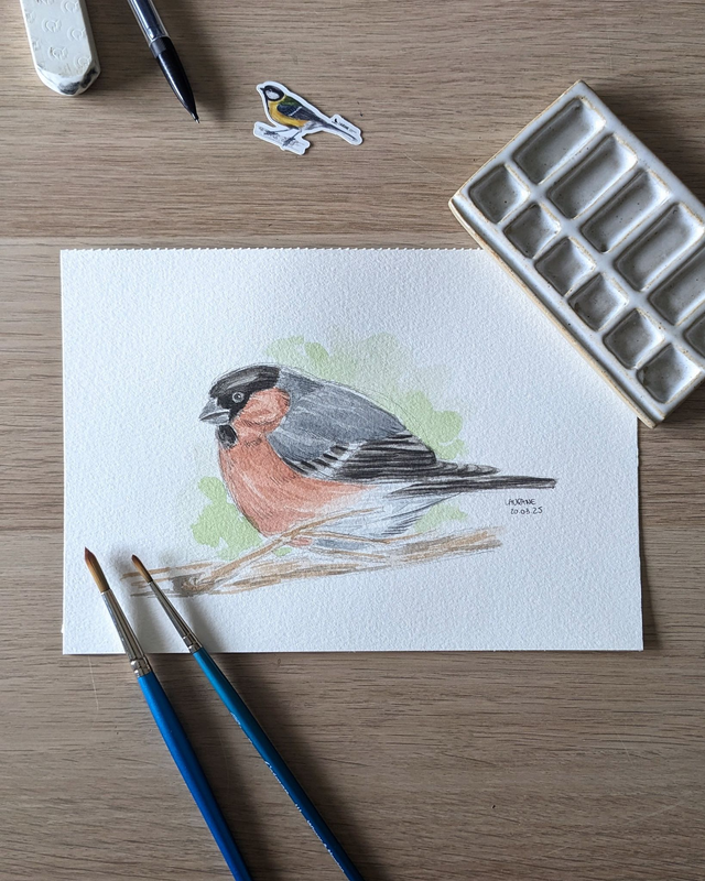 Etude originale - Bouvreuil pivoine