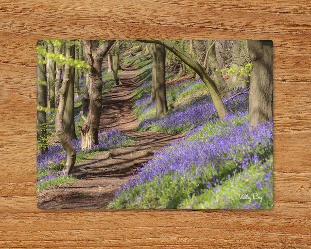 "Bluebell Woodland" Glass Worktop Saver  