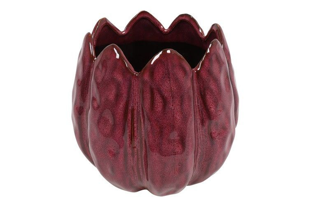 Tulpen pot klein aubergine