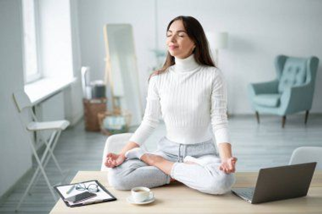 Osnovni program (on-line)