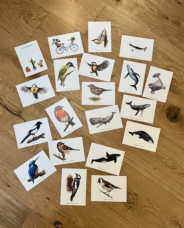 Postkarten-Set (5, 10, 15, 20 Stück)