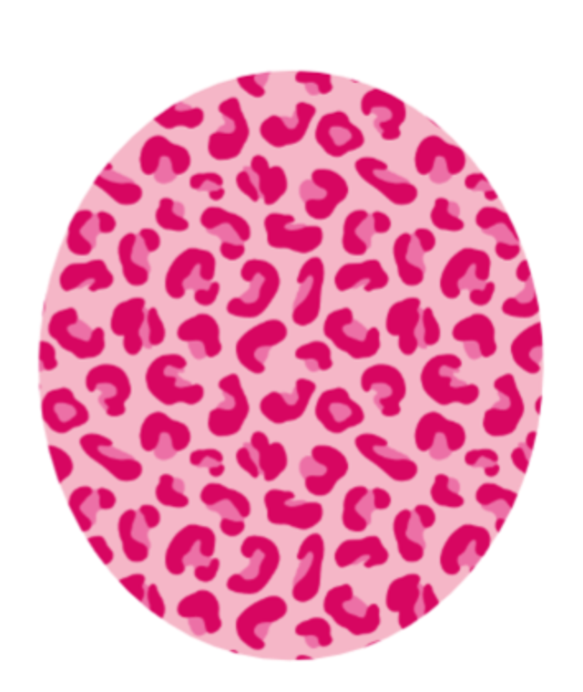 Barbie Leopard Print Over patch Guardian 4