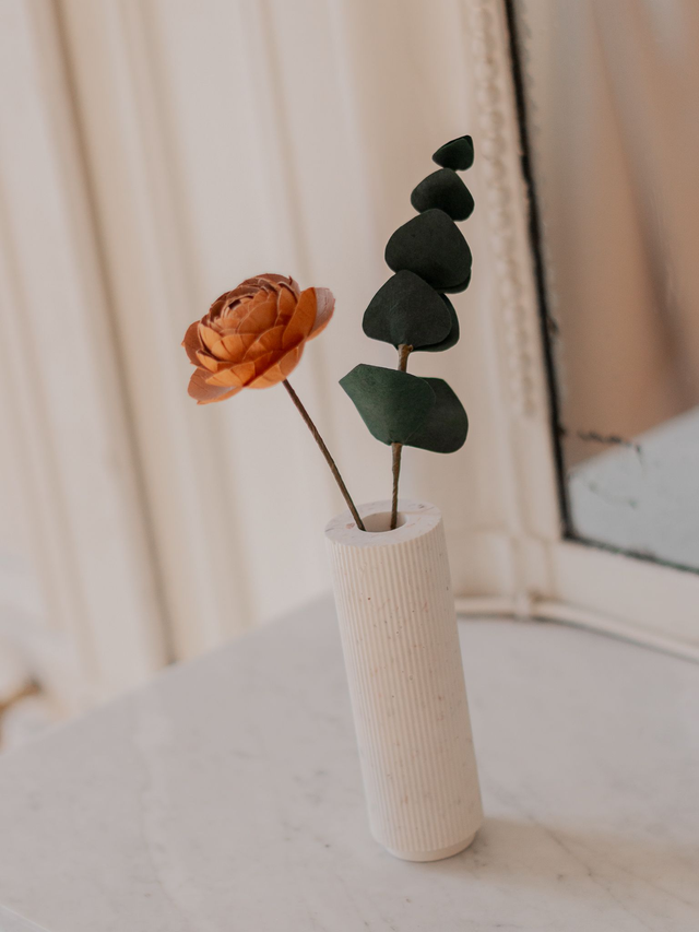 Soliflore Colosse blanc - Saint-Jacques