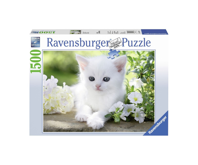 Puzzle Ravensburger  1500 Pezzi - Varie