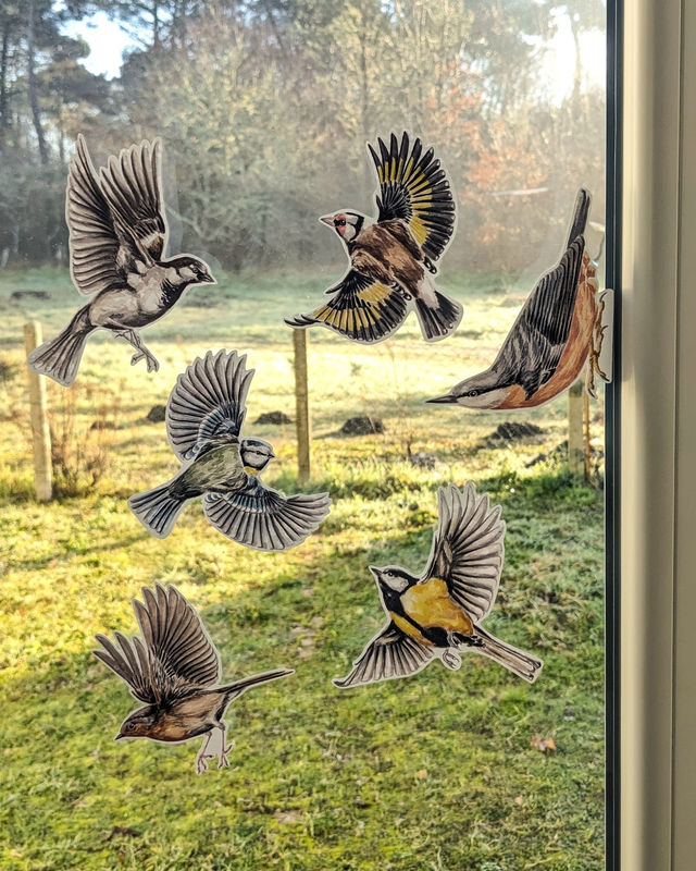 PACK stickers électrostatiques : Planche Voisins à plumes n°1 + Rougegorge + Sittelle