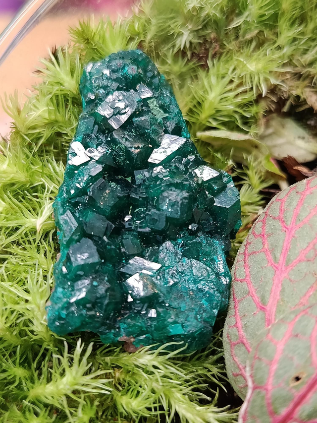 Dioptase