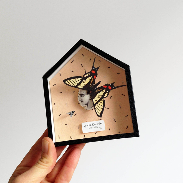 Maison-papillon / n°6