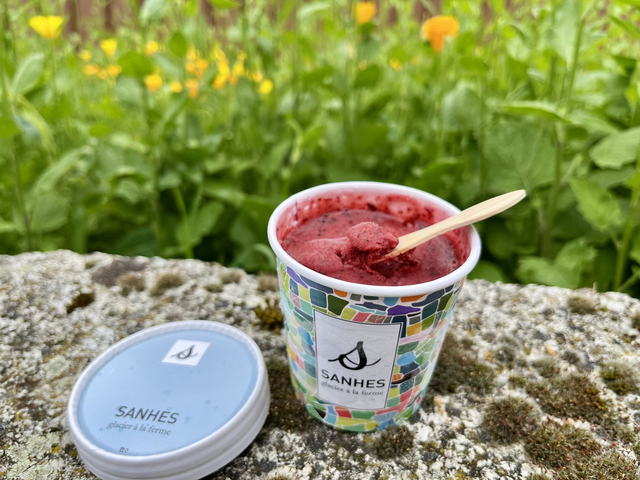 Sorbet Myrtilles - Pot Indiv. 100 mL