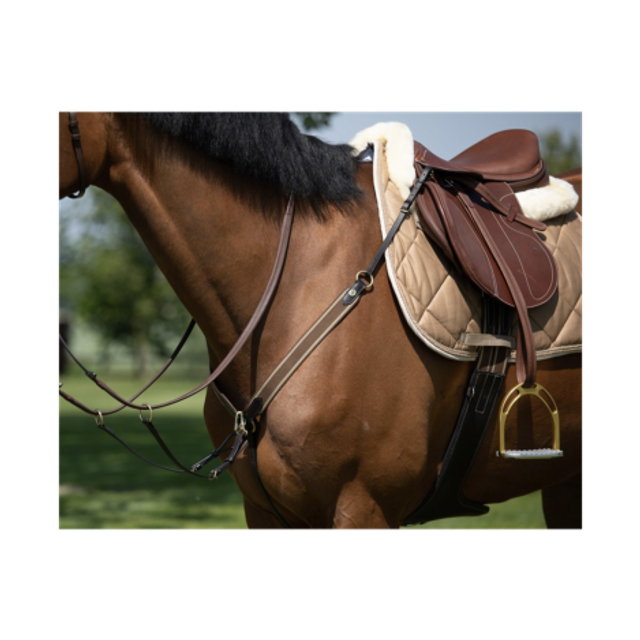 Collier &amp; martingale HFI