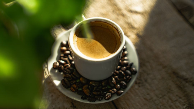 Café - L'OR / SPLEDENTE