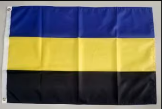 Grote vlag Gelderland (150x90cm)