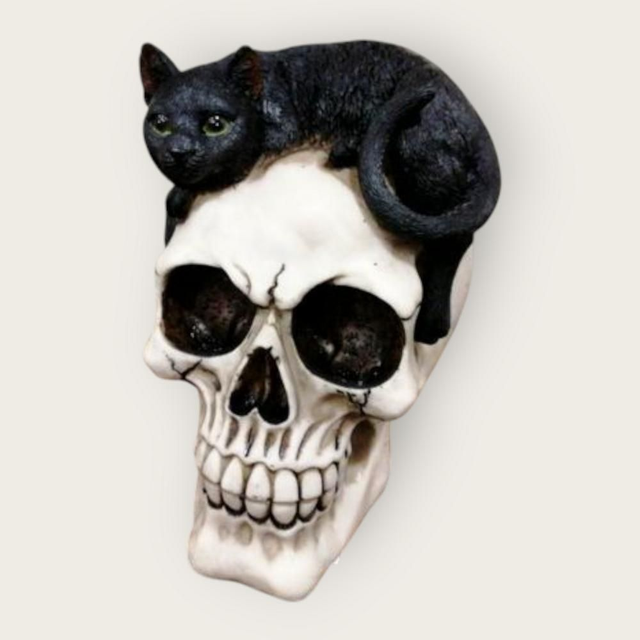 Crâne décoratif avec chat noir
