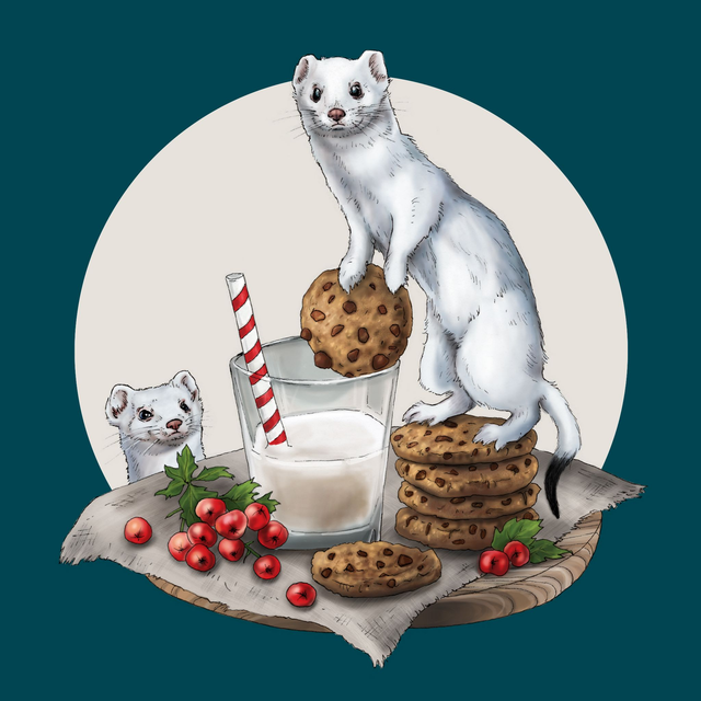 Stoats Christmas Card - Cookies and Milk