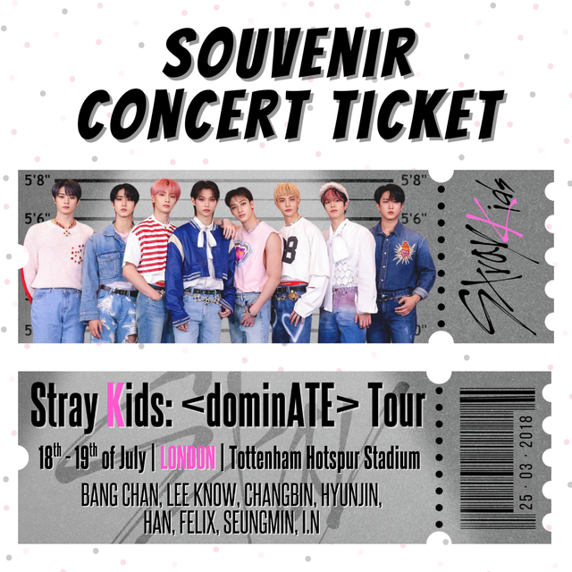 Stray Kids Souvenir Concert Ticket