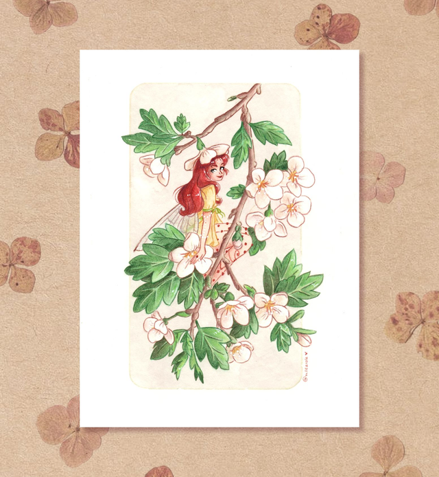 Illustration Originale - Petite Fée de l'Aubépine 🧚🏻‍♀️