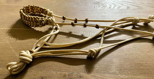 Licol éthologique or/beige