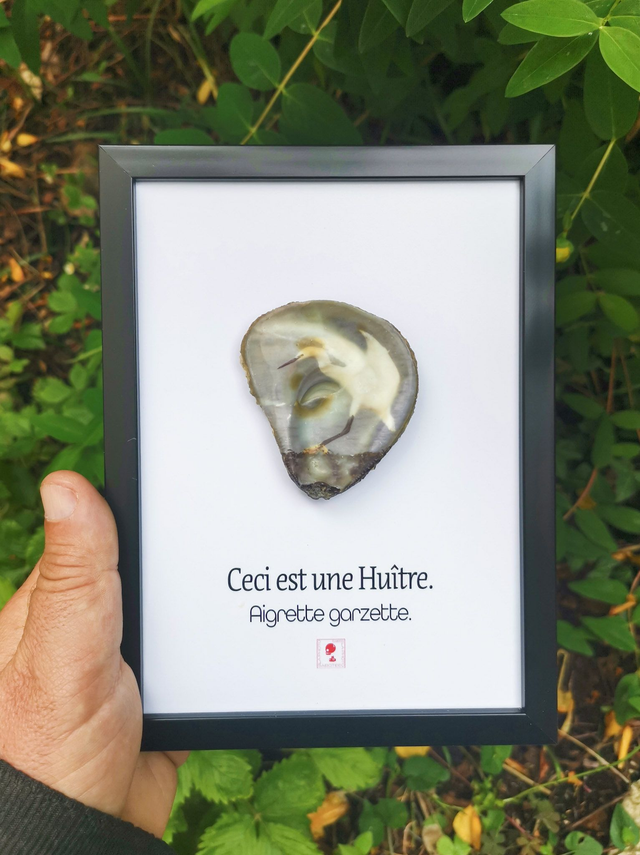 13x18 : Ceci est une huitre "Aigrette garzette"