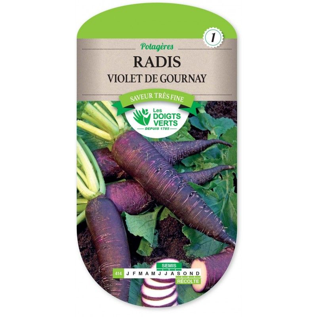 RADIS VIOLET DE GOURNAY