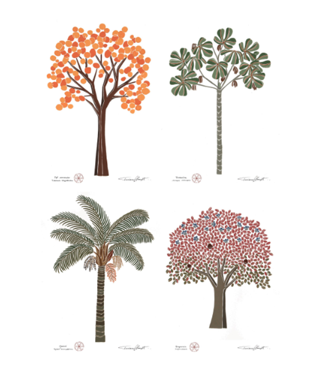 Conjunto de Reproduções "ÁRVORES BRASILEIRAS - SÉRIE 1 " 