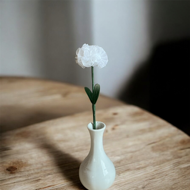 Carnation flowers in ribbon