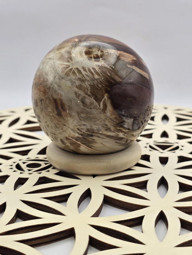Bois fossilisé forme sphère