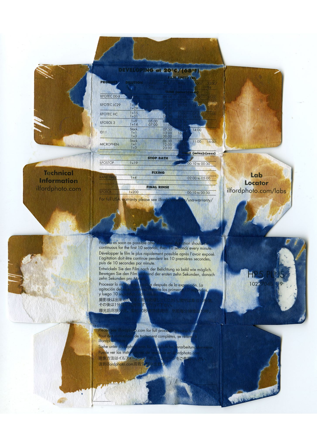 Van Dyke Brown and Cyanotype Print of Weeds on Recycled packaging 10x8 inches