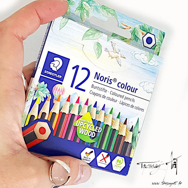 STAEDTLER - MINI CRAYONS COULEUR PAR 12 BOIS RECYCLE - ST010