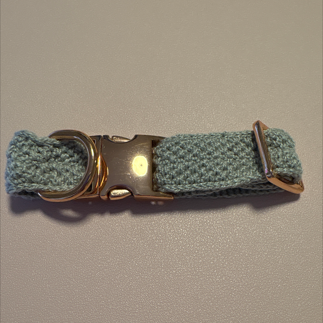 CAT/DOG/PET COLLAR CUSTOM ORDER