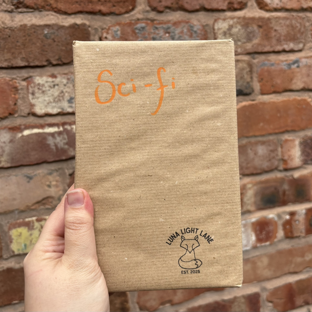 Blind Date With A Book | Mystery Book Bundle