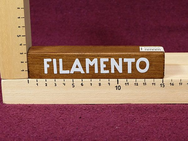 Palabra L FILAMENTO