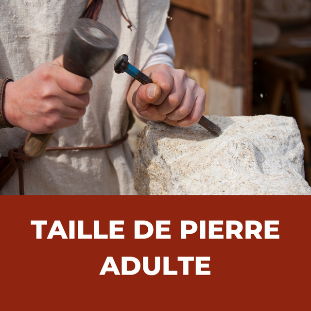 Taille de Pierre (Adulte)