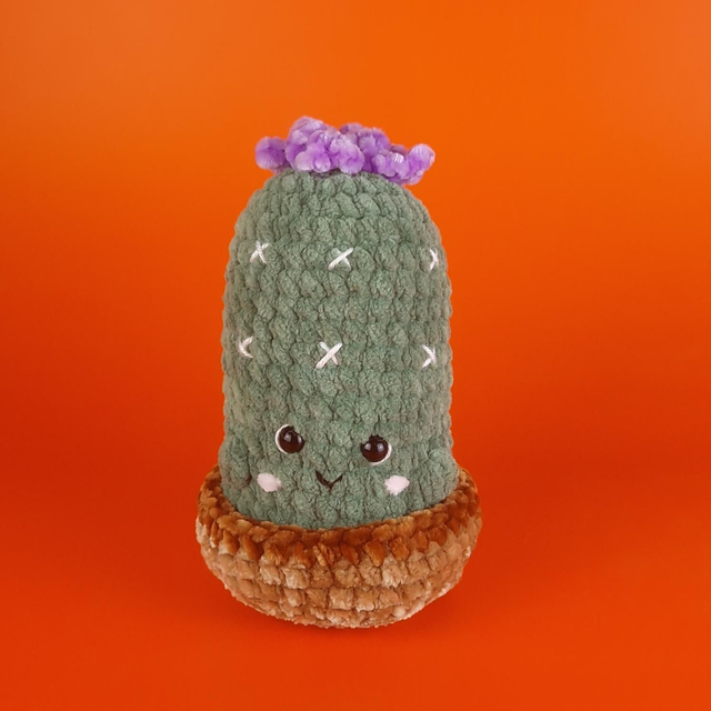 Cactus 
