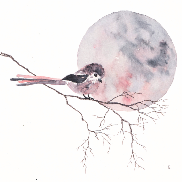 Mésange et lune