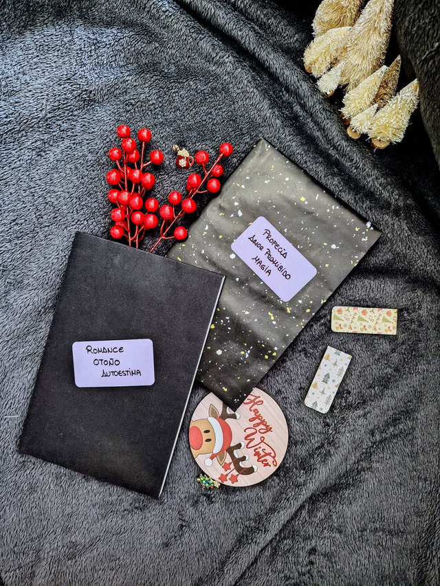 Imagen del Regalo Prohibido con libros forrados y lazo rojo