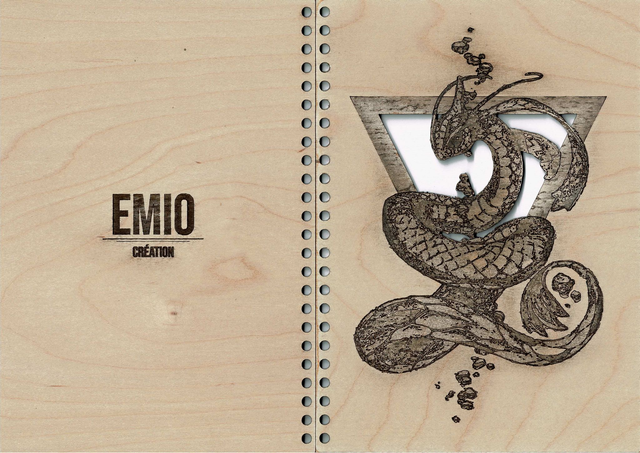 🐍 CARNET SERPENT D'EAU