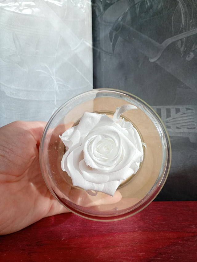 Mamie04 unique rose blanche