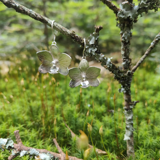 Boucles d'Oreilles Argent Phalaenopsis 