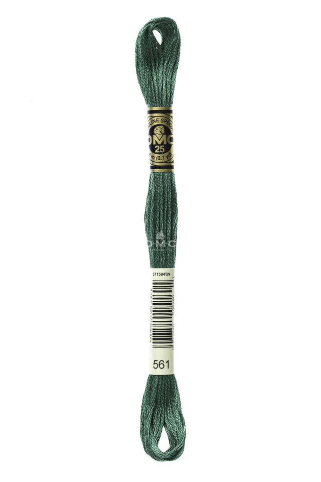 N°561 Mouliné Spécial DMC
