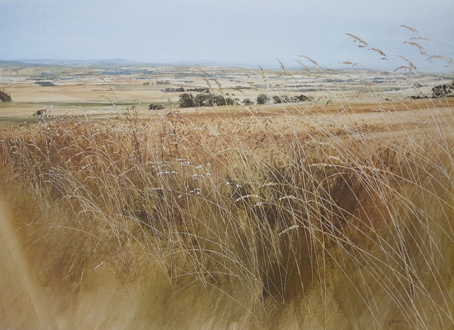 Late Summer in The Mearns