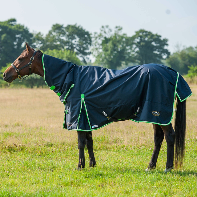 Gallop Trojan Duraproof Lightweight Turnout Combo