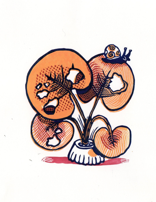 plantes et escargot 3 couleurs orange