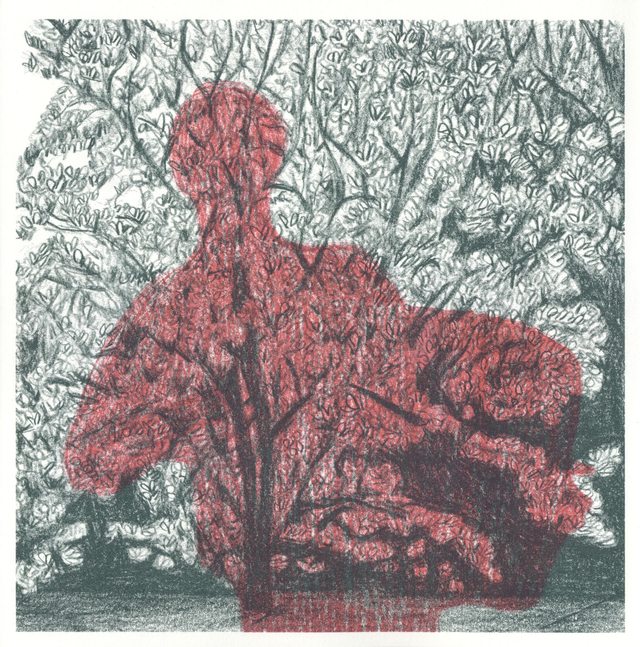 MDMA - Manger Des Médailles Apologiaques • Paille