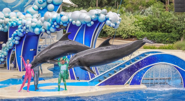 Výlet do ZOO Norimberk dne 5.9.2026