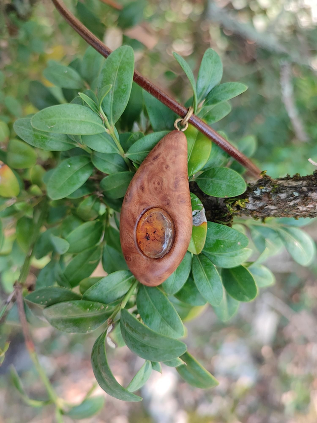 Pendentif en Bois de Loupe de Goldfield, Ambre du Mexique et Cordon Cuir