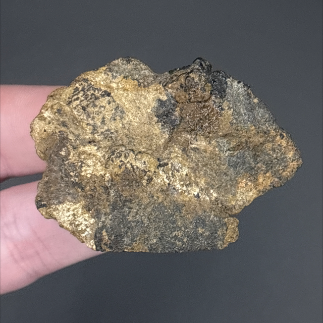 Allosaurus Bone Fragment