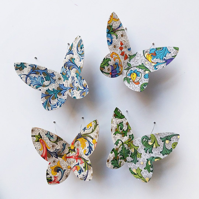 Spécimens série Volutes