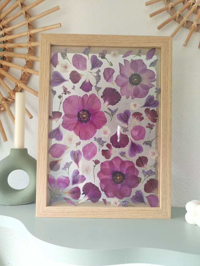 Herbier A4 entre 2 verres