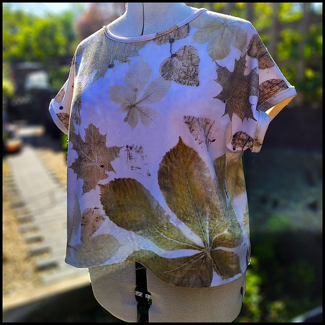 Organic Interlock Jersey Box Top size Large/XL