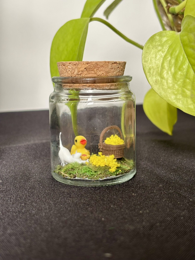 🍃 Mini terrarium verre - Édition été - Canard