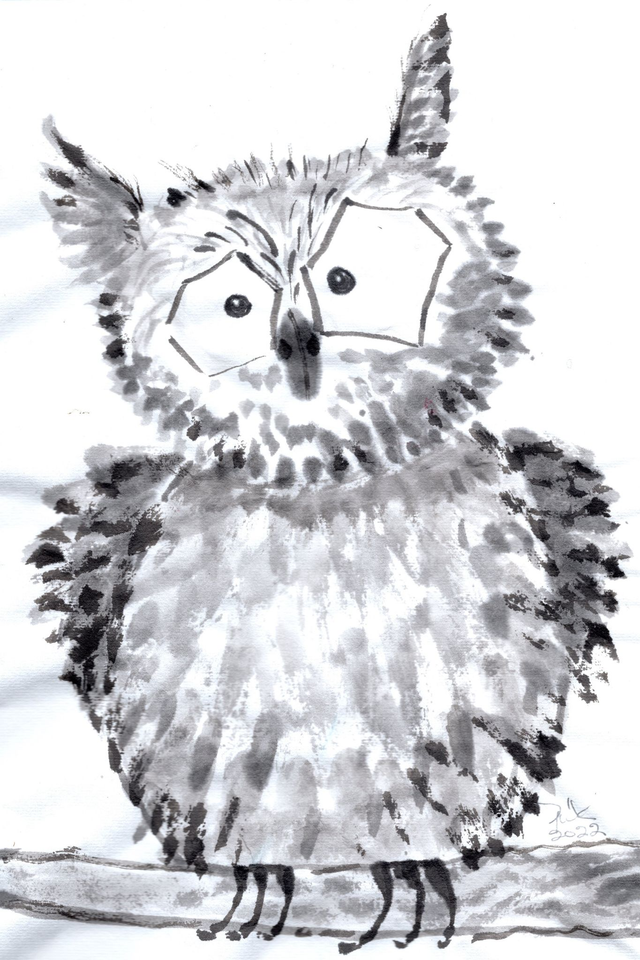 Pöllö mustavalkoinen